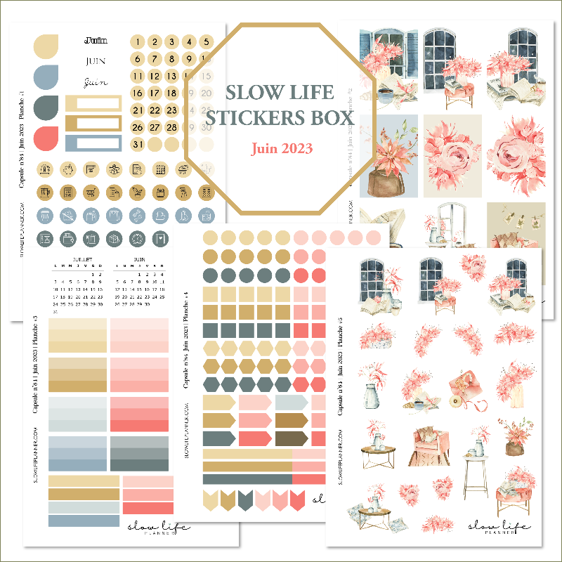 Stickers box de juin 2023 - Set 5 planches de stickers