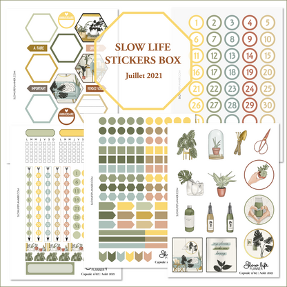 Stickers Box | Capsule n°62 / Août 2021