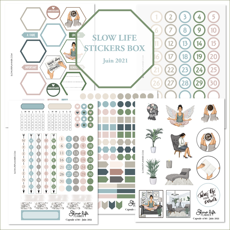Stickers box de juin